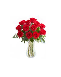 red roses in a vase