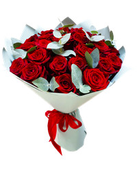 red roses with greenery